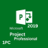 Project 2019 Professional 1PC [BIND]